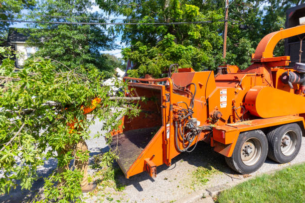 Best Arborist Services Near Me  in Eagle River, WI